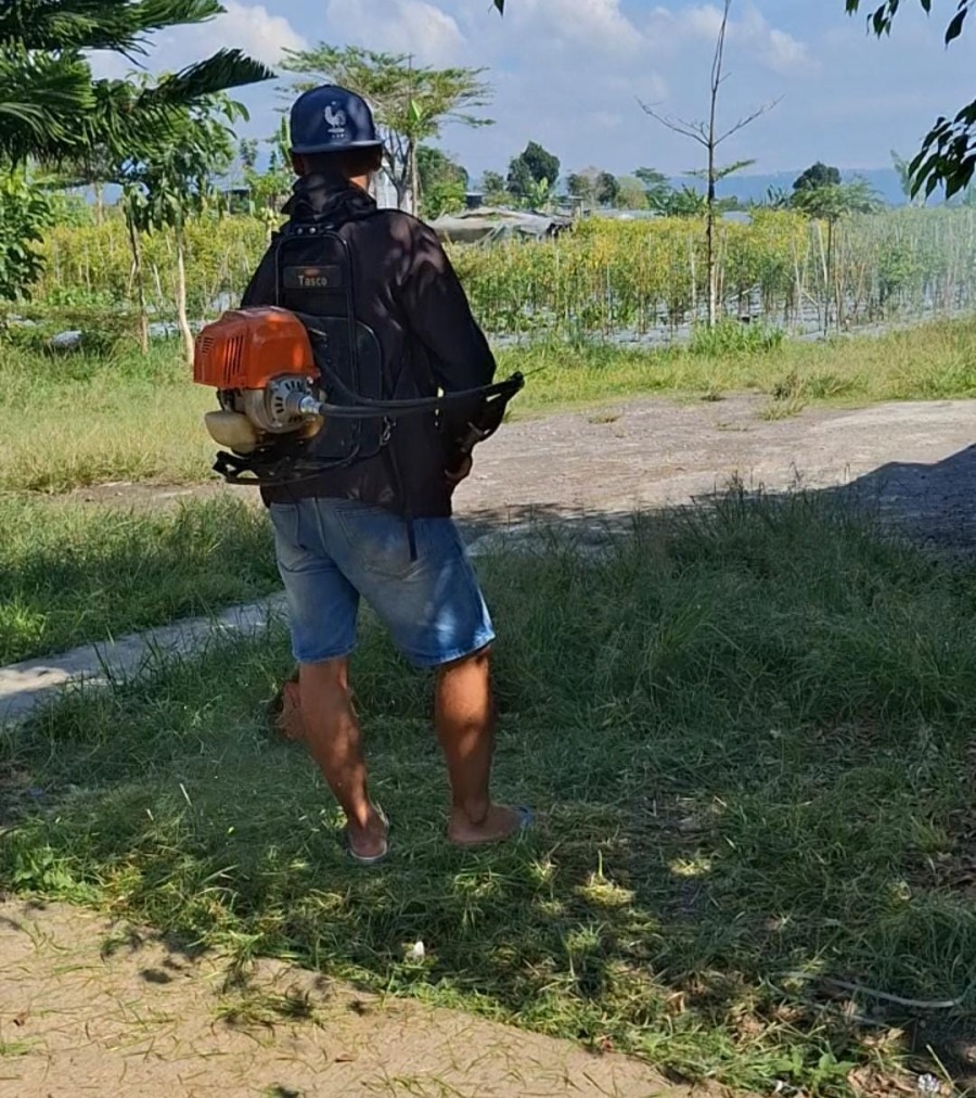 Gambar Berita